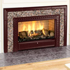 hearthstone fireplace insert